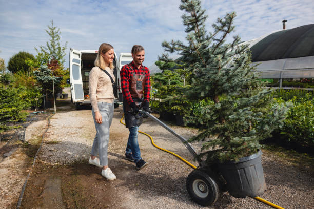 How Our Tree Care Process Works  in  Lake Como, NJ